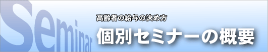 個別セミナーの概要
